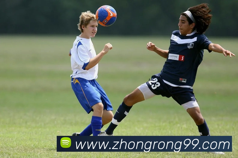 多终端兼容